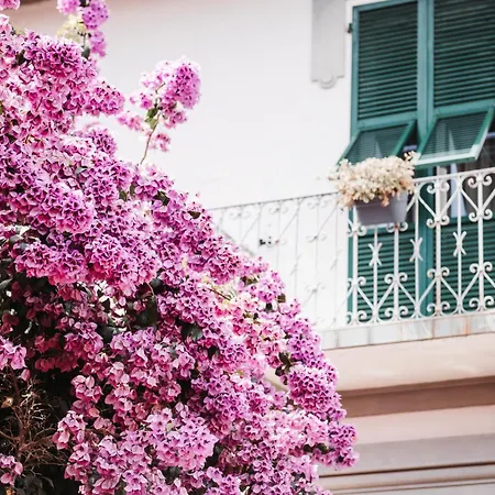Apartamento Casa Elegante In Mezzo Al *